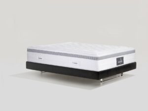 Audace Armonia Magnigel Dual Queen