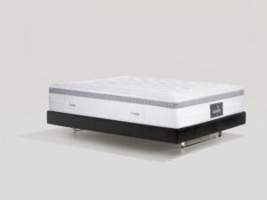Audace Armonia Magnigel Dual King