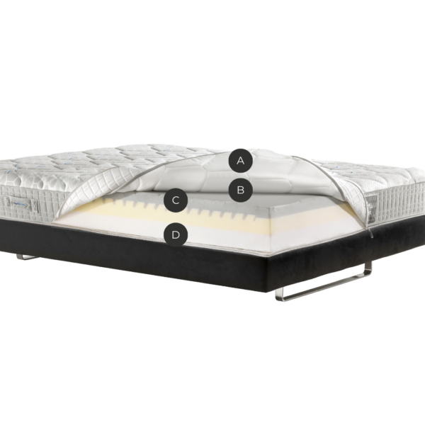 Magnistretch Queen - Image 2